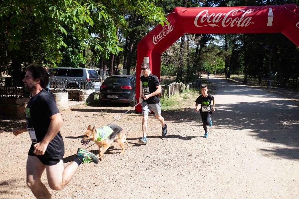 II Can We Run en Zamora