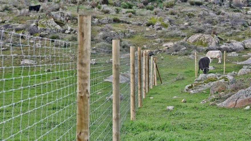 Aparece muerto el guarda de la finca Valcorchero de Plasencia