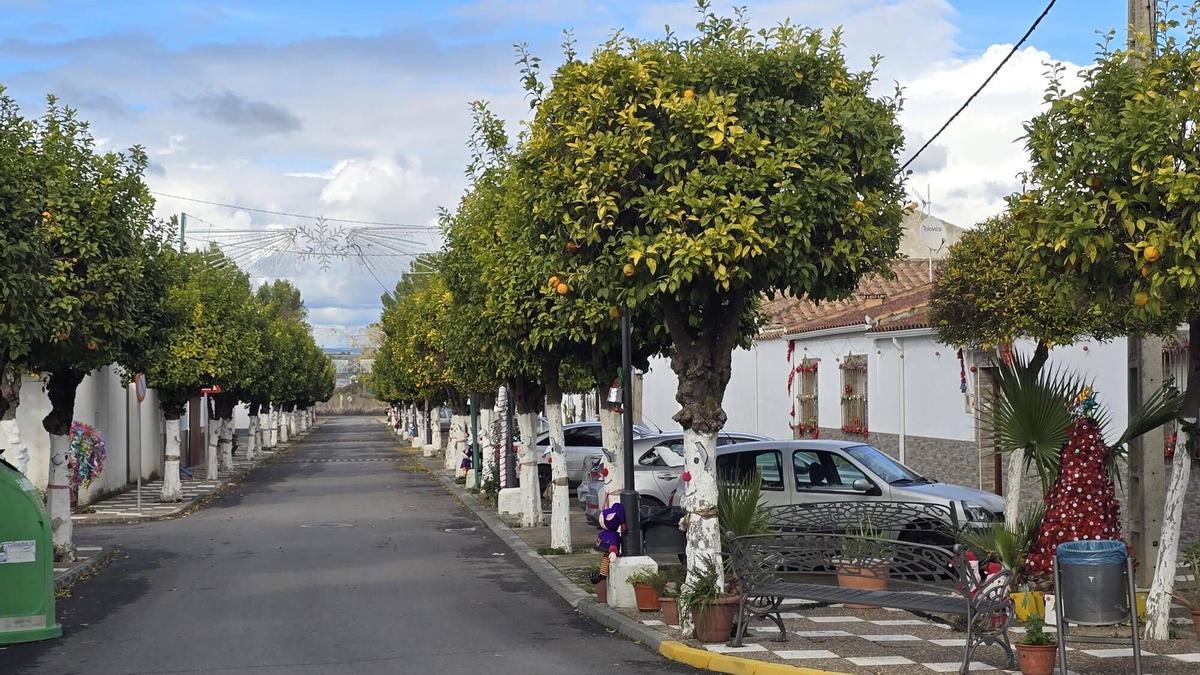Una calle de El Carpio.