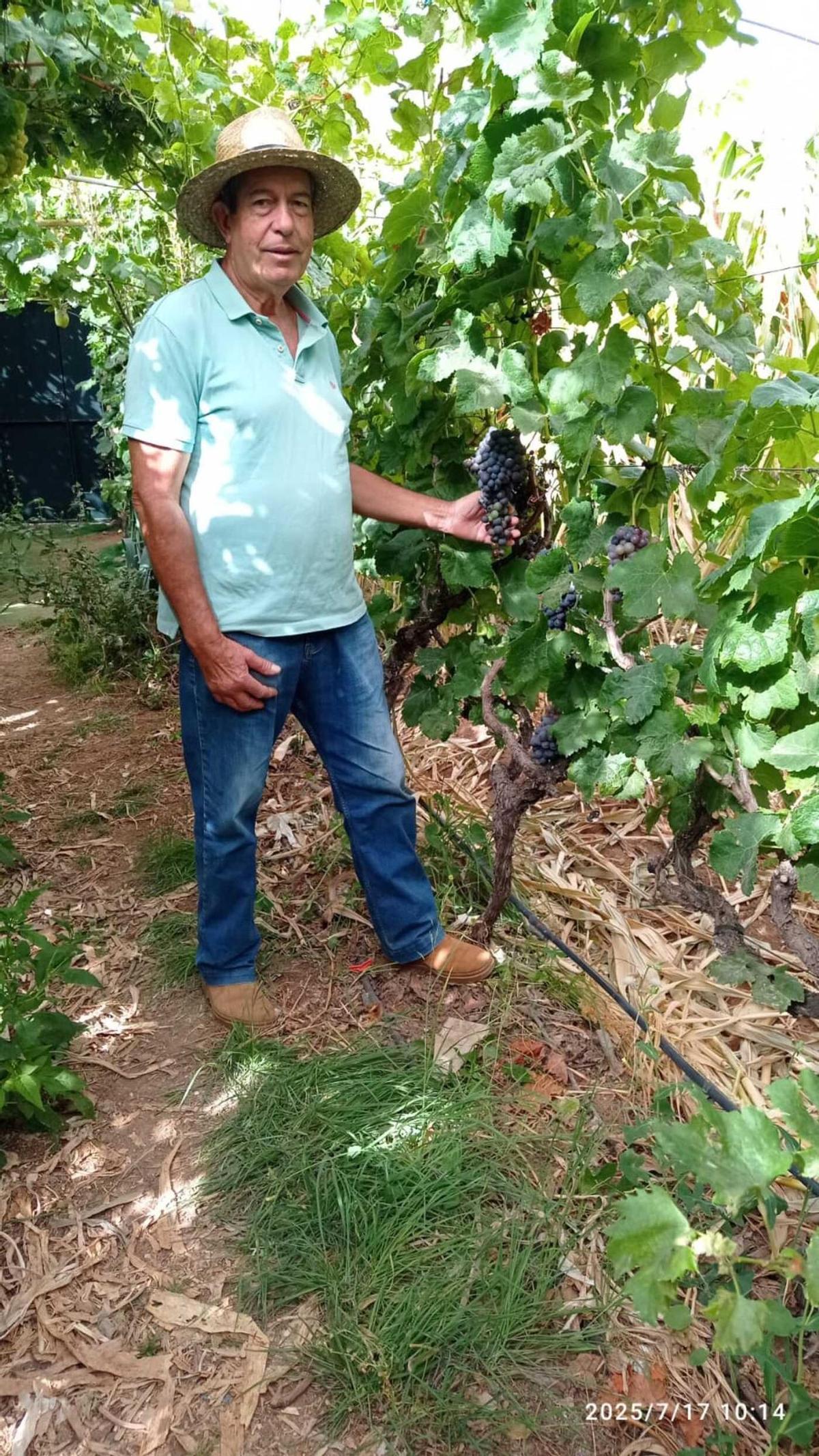 Chano Ortega, viticultor de Agüimes Chano Ortega, viticultor de Agüimes