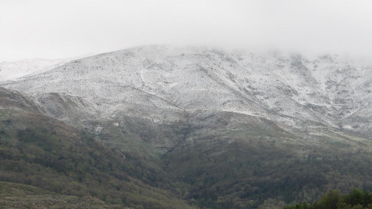 Nieve en la Sierra de Aldeanueva de la Vera.