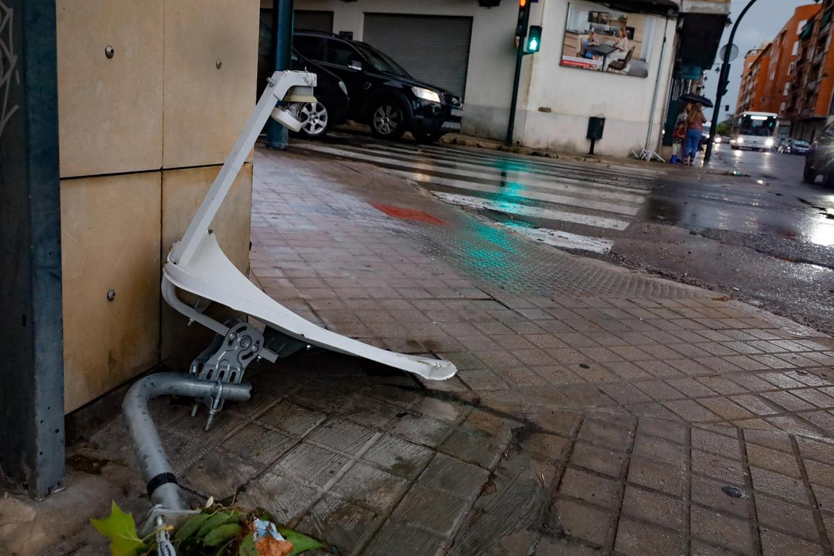 Se han volado antenas en toda la ciudad Se han volado antenas en toda la ciudad
