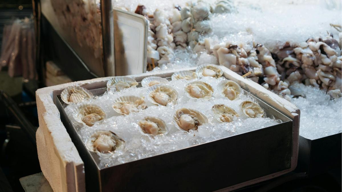 Marisco en una pescadería
