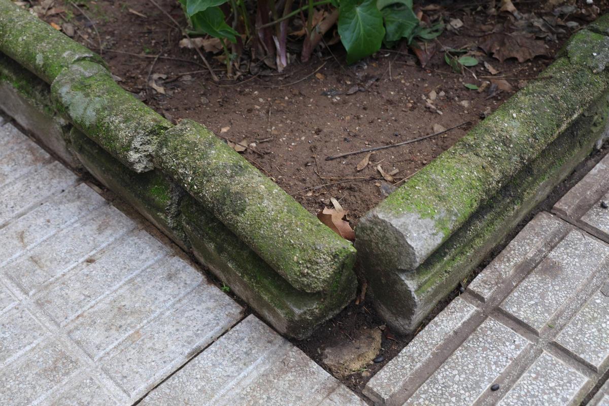 FOTOGALERÍA | La esperada reforma del Paseo de Cánovas de Cáceres, más cerca