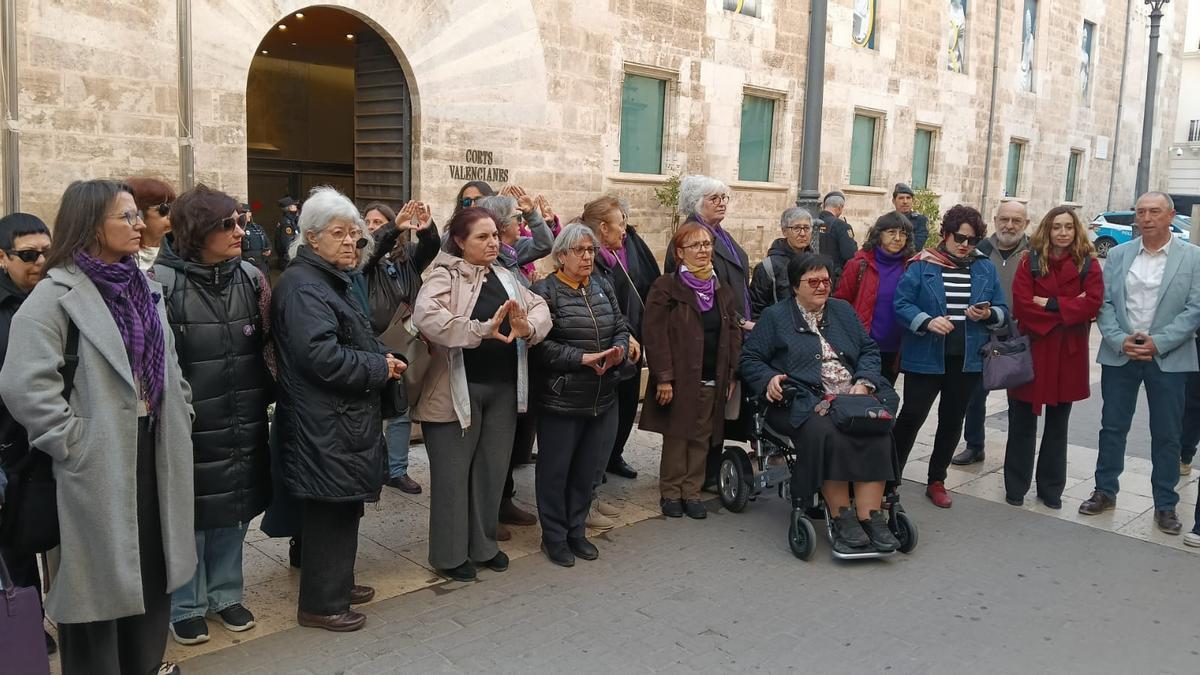 Protesta de la Coordinadora Feminista a las puertas de las Corts.