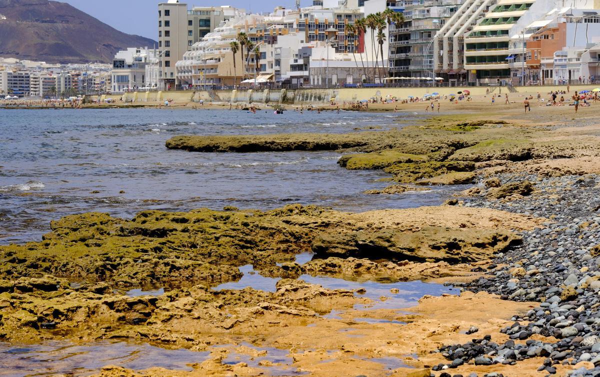 Las capas fósiles de Las Canteras, al descubierto