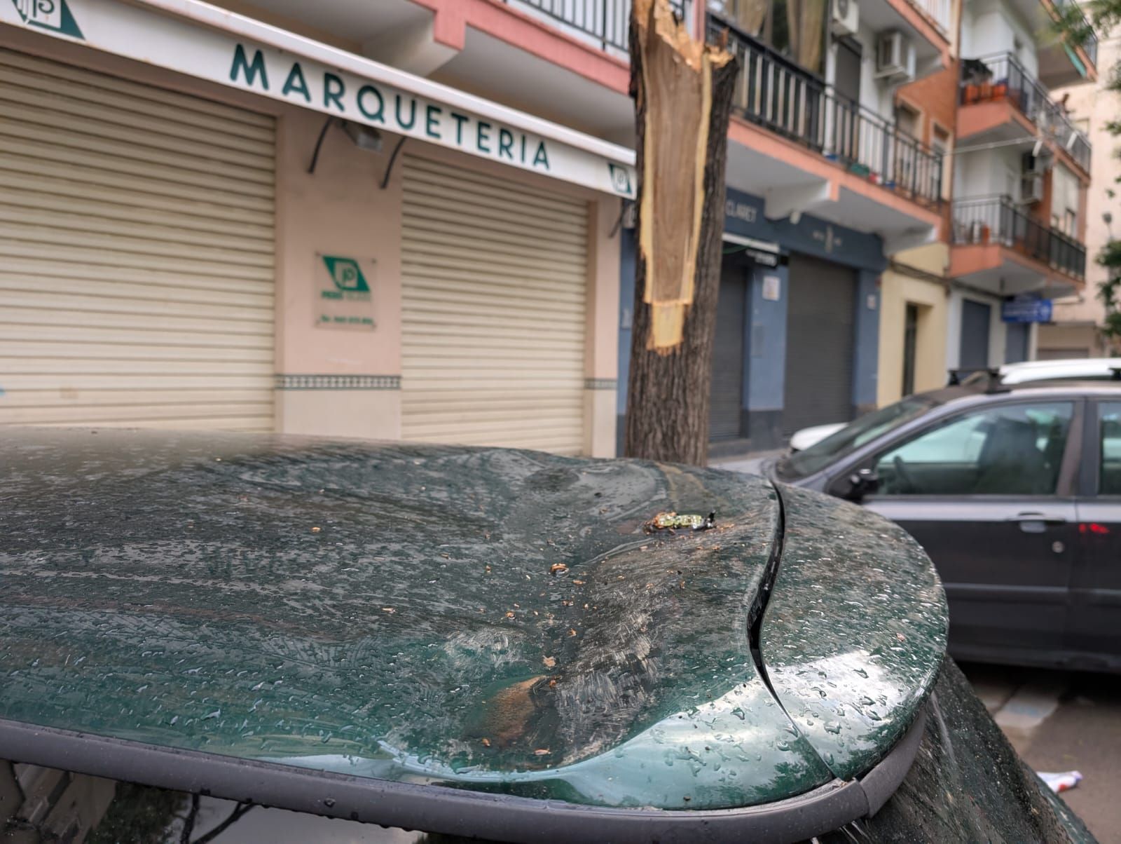 Coches abollados y árboles rotos por la granizada en Xátiva