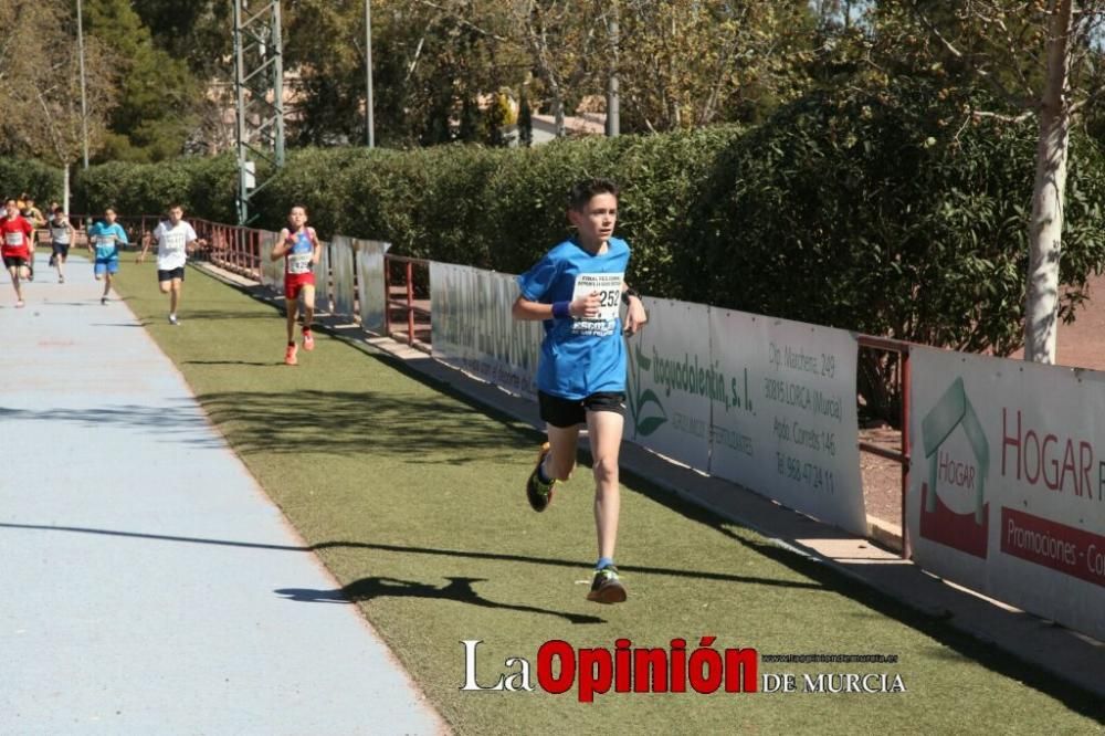 Final Cross Escolar de Lorca . Alevín masculino