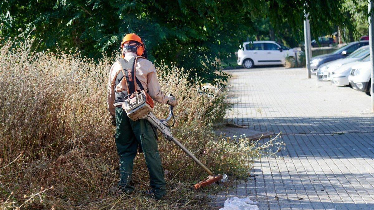 Más de un tercio de las inspecciones de Sadeco en Córdoba se centran en exigir la limpieza de solares a sus propietarios