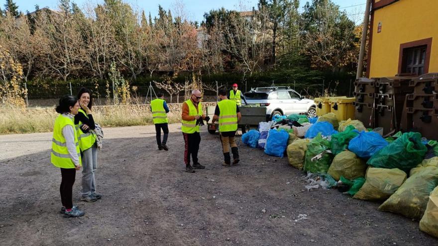 Se recogieron más de 80 bolsas de basura grandes  en las cunetas de la carretera.