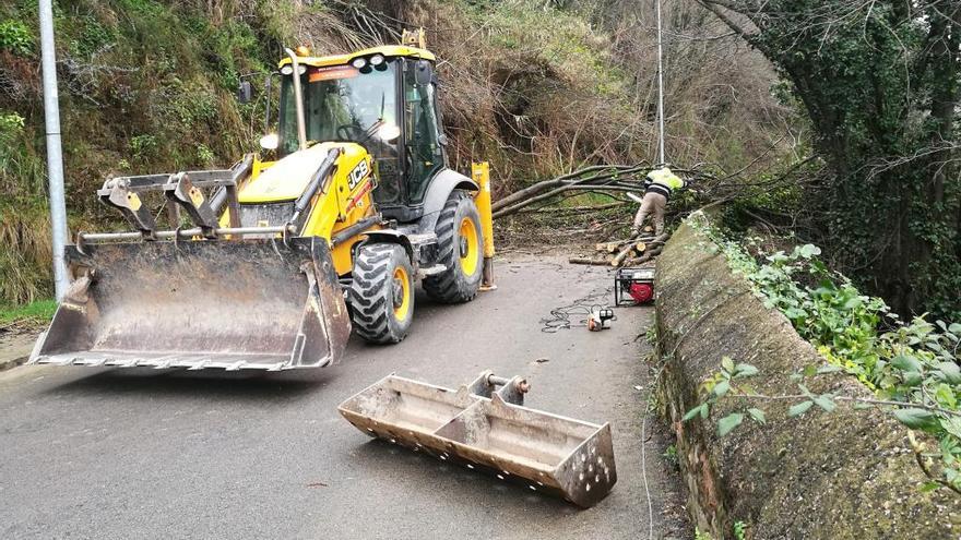 Treballs per retirar l&#039;arbrat i les terres i roques de l&#039;esllavissada, aquest dimarts al matí