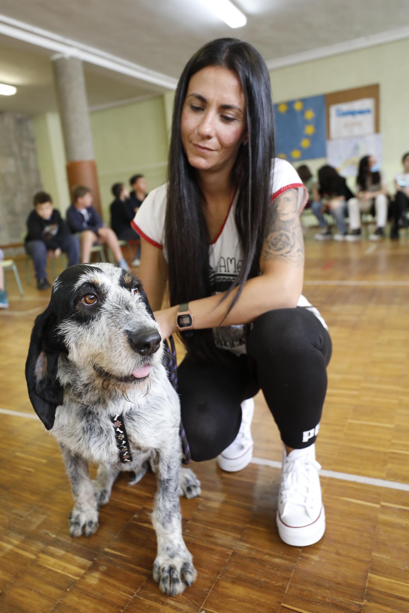 El Albergue de Animales visita a los niños del Gesta