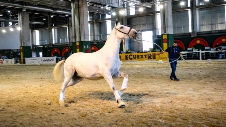 Imagen de una de las competiciones llevadas a cabo en el marco de Ecuextre el pasado fin de semana