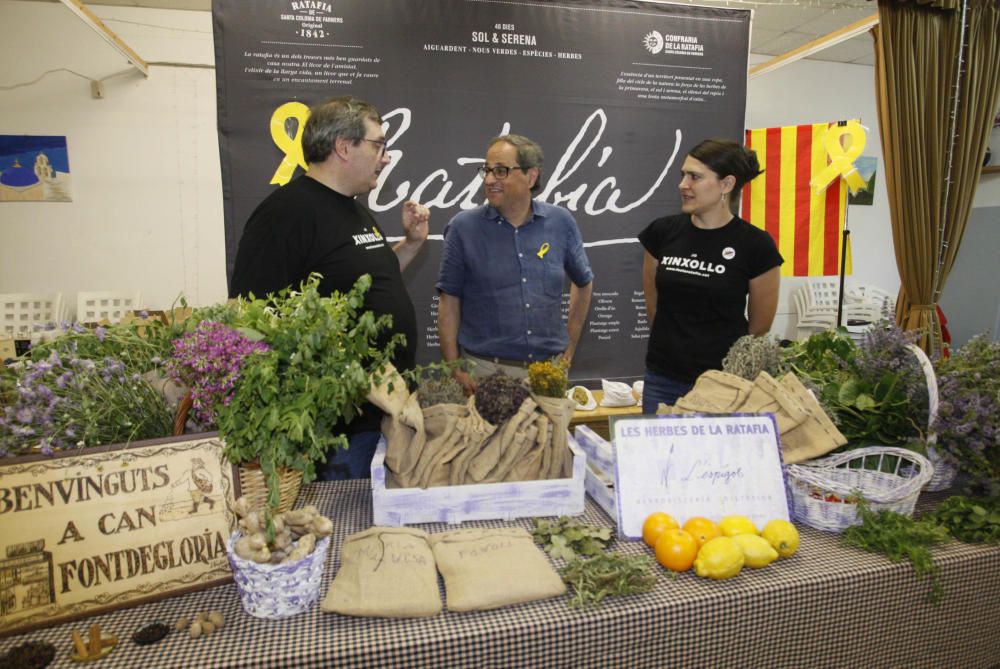 Quim Torra participa en un taller de ratafia a Santa Coloma de Farners