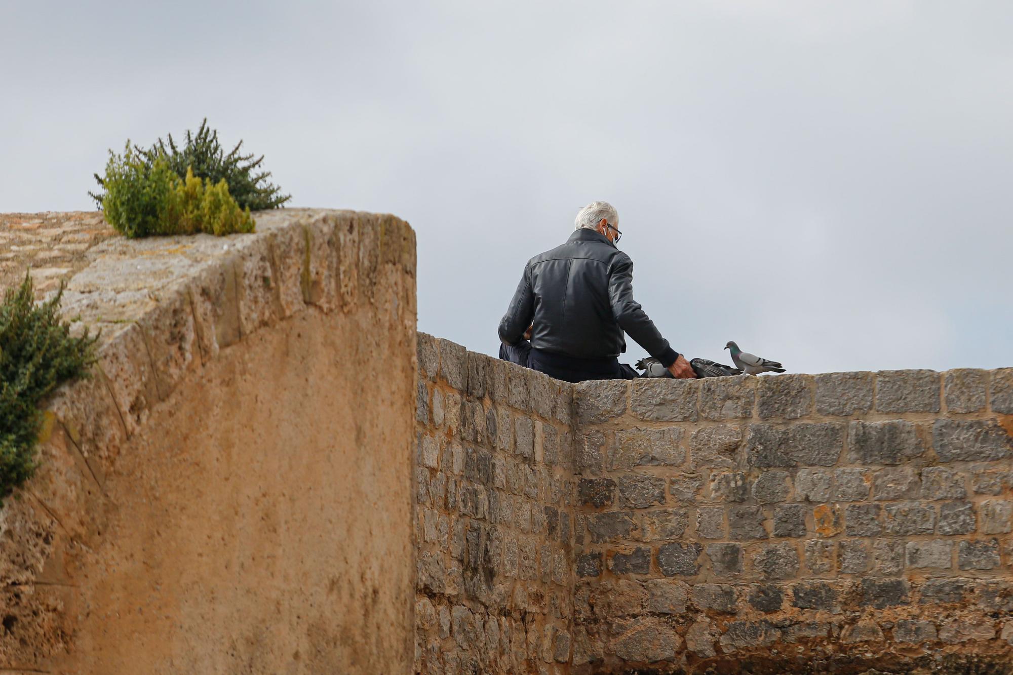 Los residentes de Ibiza descubren Dalt Vila