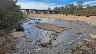 Catalunya redobla esfuerzos y ya utiliza agua regenerada también en el río Tordera