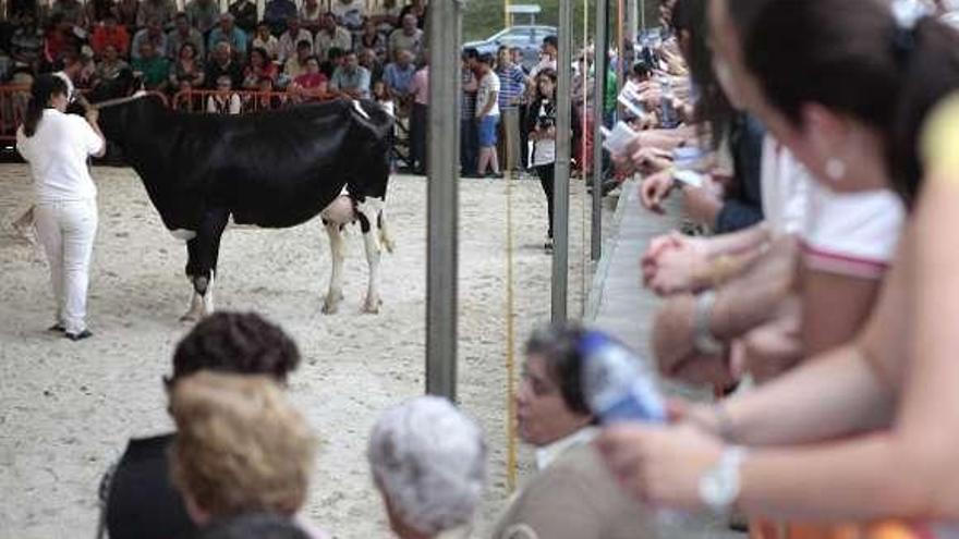 Carballeiras se corona como mejor criador y una de sus vacas, como gran campeona