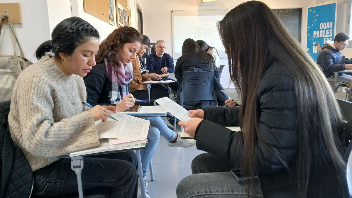 Els cursos subvencionables hauran de ser de nivell inicial