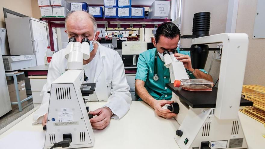 El jefe de la unidad de investigación, José Zamorano, y el médico de Medicina Interna, José María Saponi.