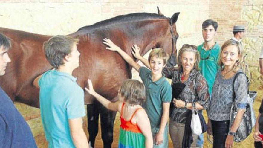 Cabalcor vence el pulso a la crisis con un récord de más de 50.000 visitantes