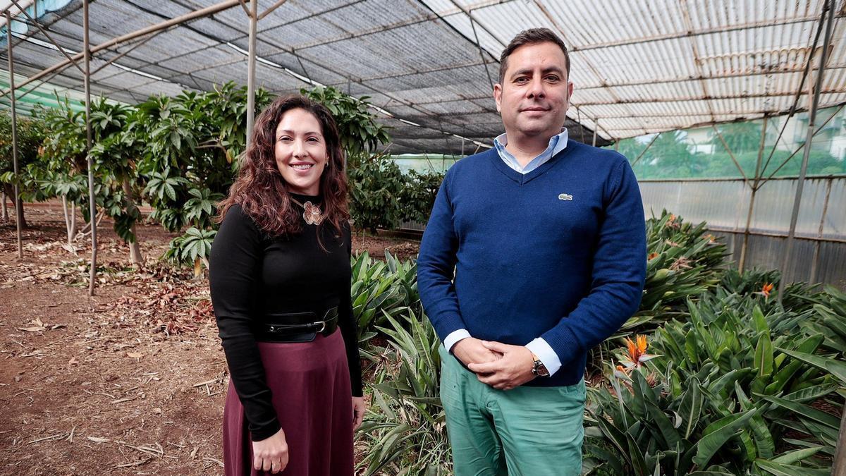 Noelia Cruz y Juan Carlos Santamarta en el invernadero de la sección de Ingeniería Agraria de la Escuela de Ingeniería de la ULL.