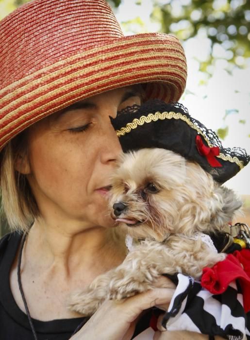 Desfile canino en Somió