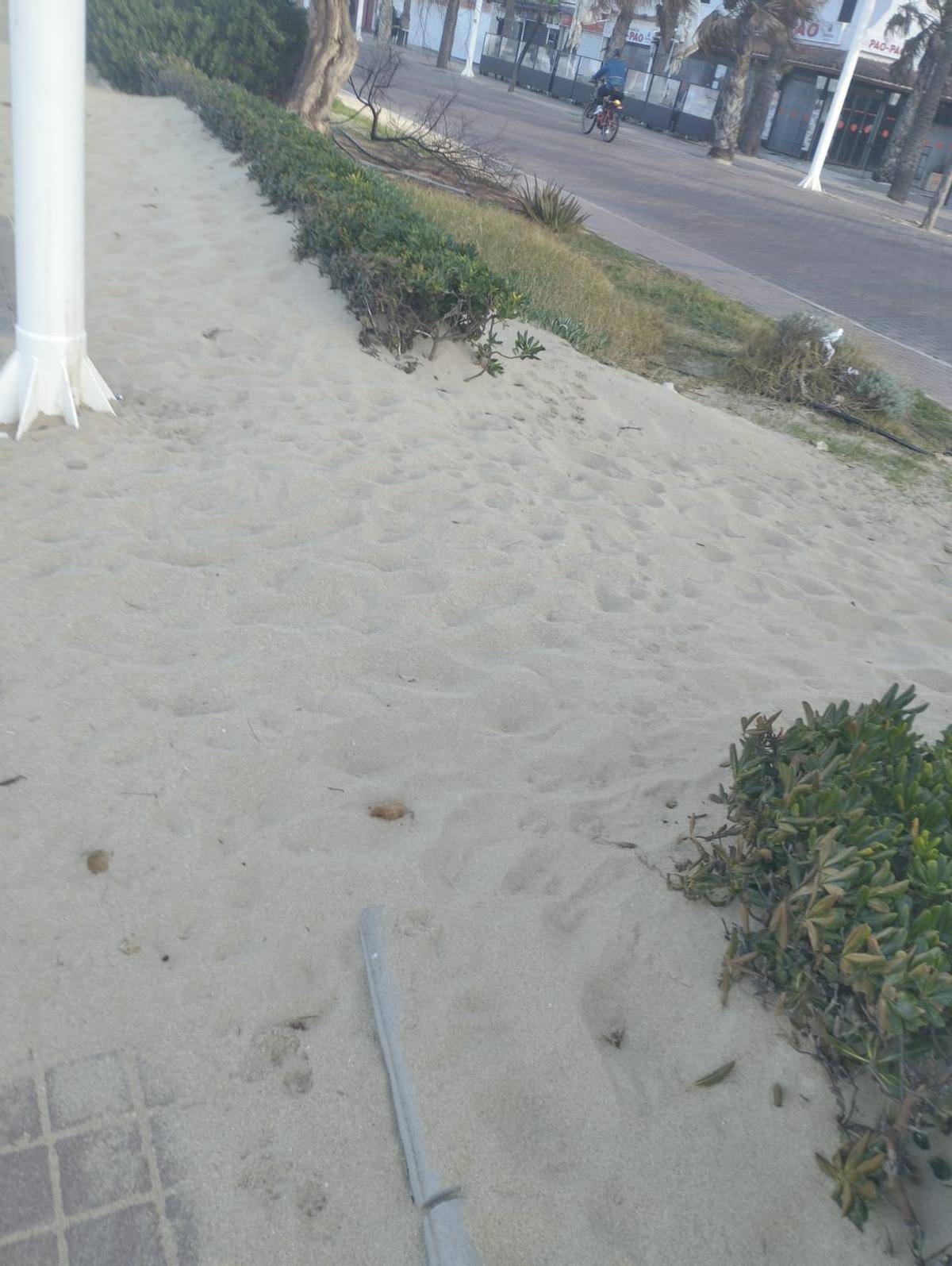 El viento ha empujado mucha arena a la acera y jardineras.