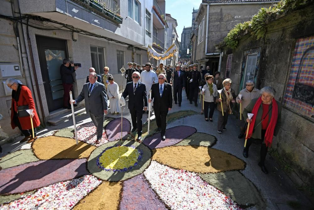 Un tapiz florar para engalanar el paso del "Viático" en Pontevedra