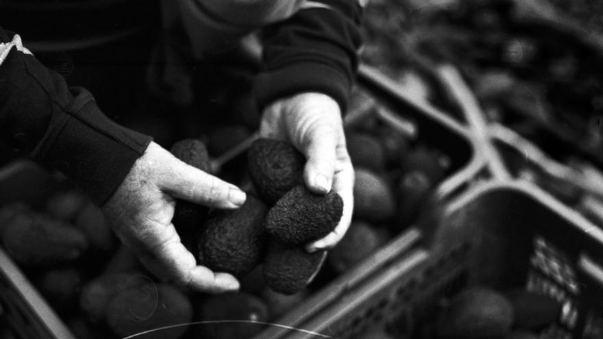 Málaga-Delta del Ebro en Bici (1): doce aguacates y varias naranjas