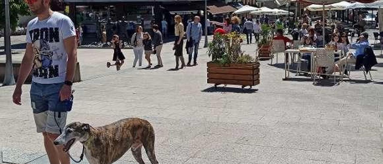 Arriba, viandantes aprovechando el día de sol por la Pola. En los círculos, Juan Noval y Andrés Herrero disfrutando del vermú y la hostelera Omayra Cosío con el equipo desinfectante que han dispuesto para los clientes.