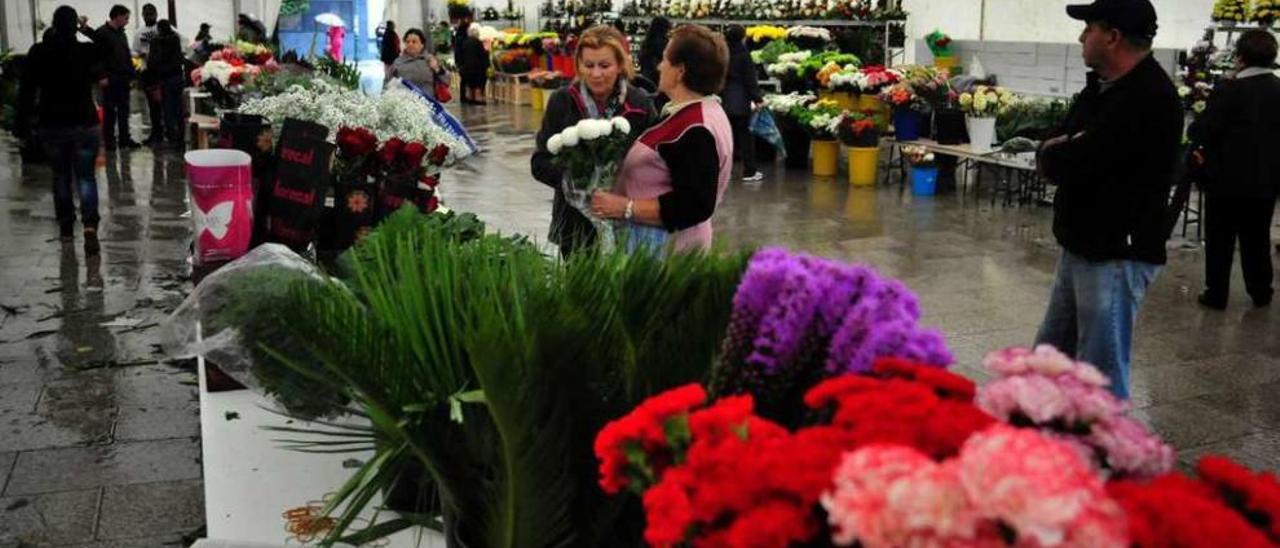 Los claveles, en primer término, son las flores más baratas, junto con las margaritas. // Iñaki Abella