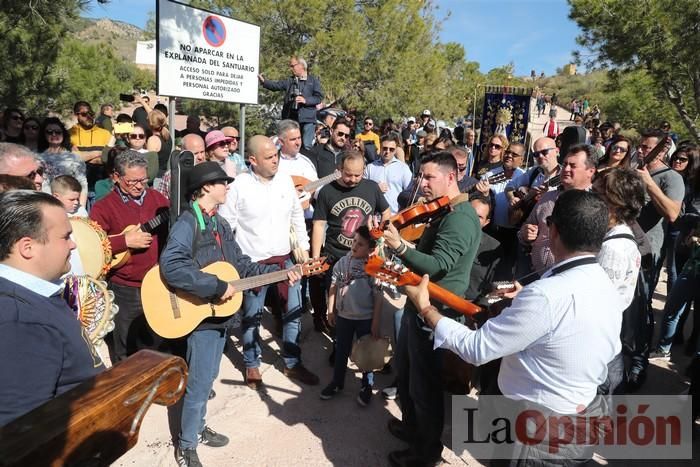 Romería de La Hoya (II)