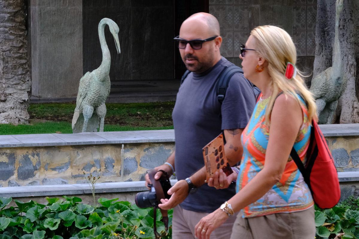 Actividad familiar en busca de los animales escondidos en Las Palmas de Gran Canaria
