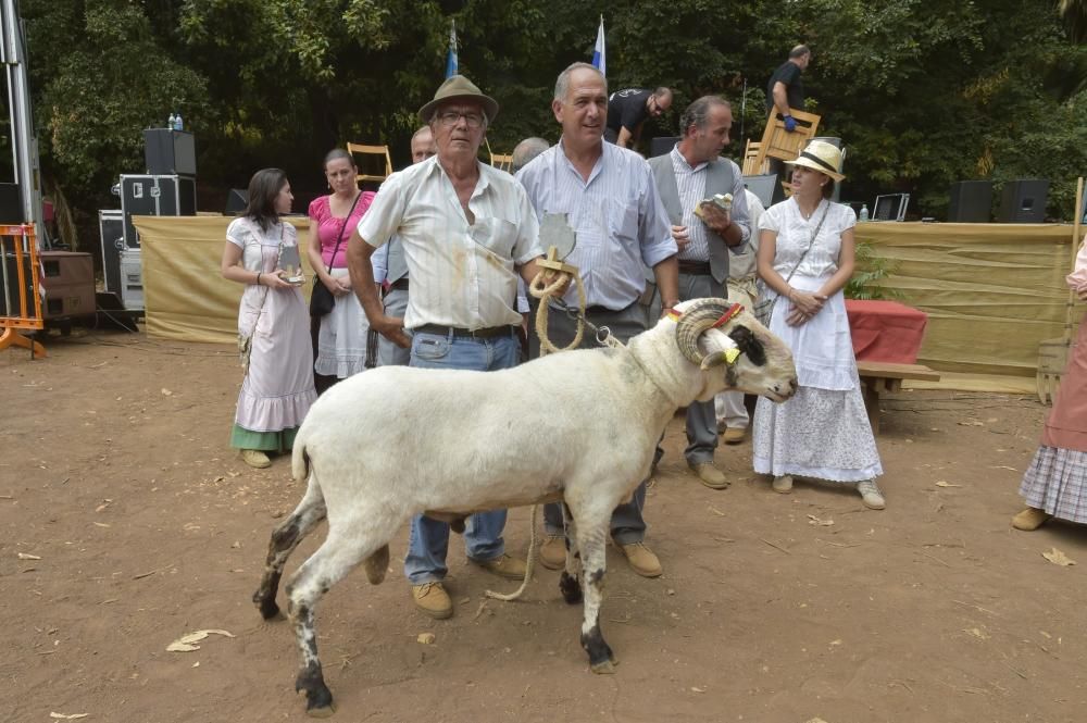 Feria de ganado