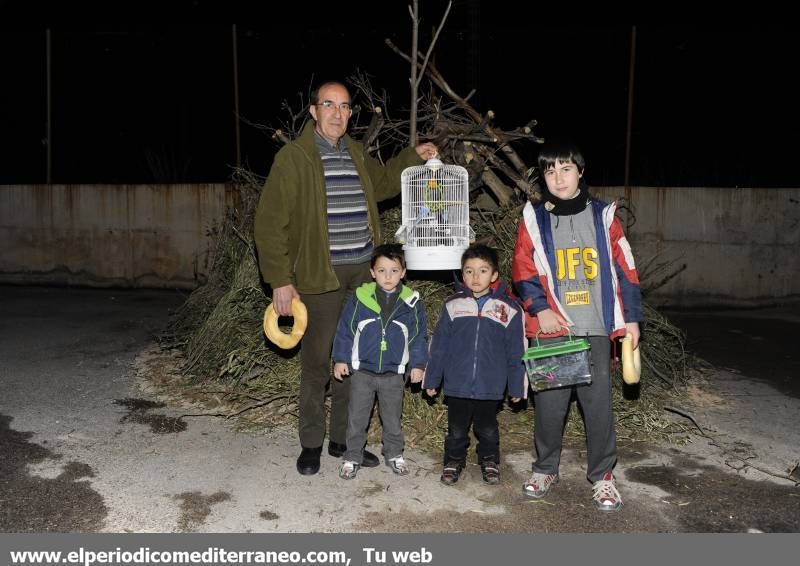 GALERÍA FOTOS - La provincia celebra Sant Antoni