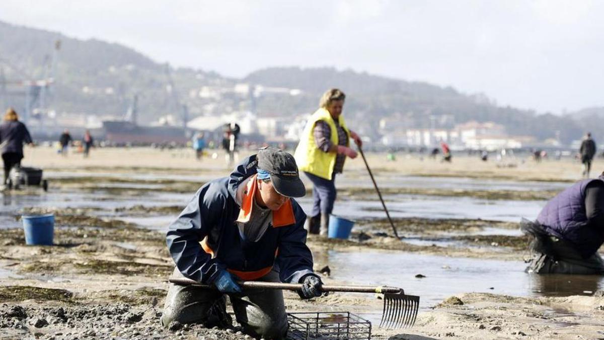 Mariscadoras trabajando en Poio, en la ría de Pontevedra.