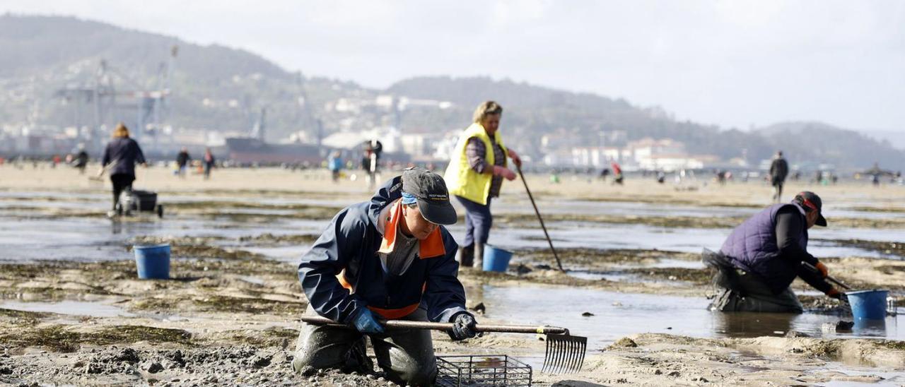 Mariscadoras trabajando en Poio, en la ría de Pontevedra.