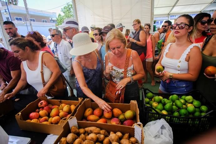 Mogán. Feria del Mango y Aguacate  | 01/09/2019 | Fotógrafo: José Carlos Guerra