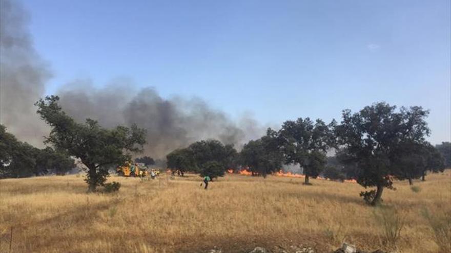 Un incendio calcina 27 hectáreas en El Viso