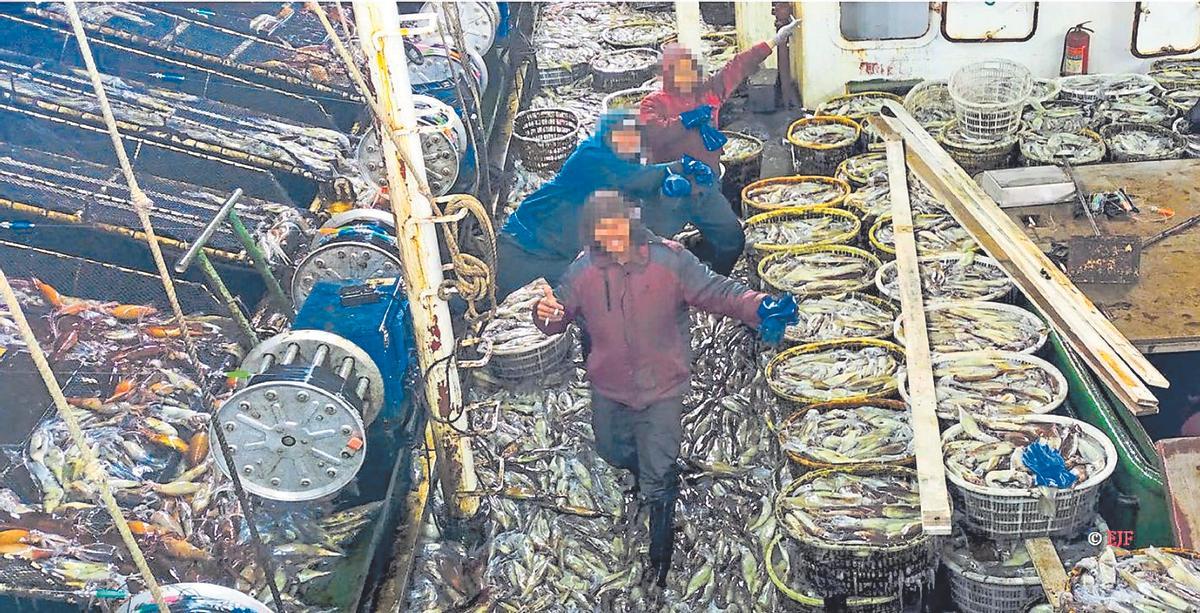 Un potero xinès carregat de calamar fins als topalls