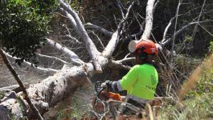 Actuaciones de prevención de incendios del AMB.