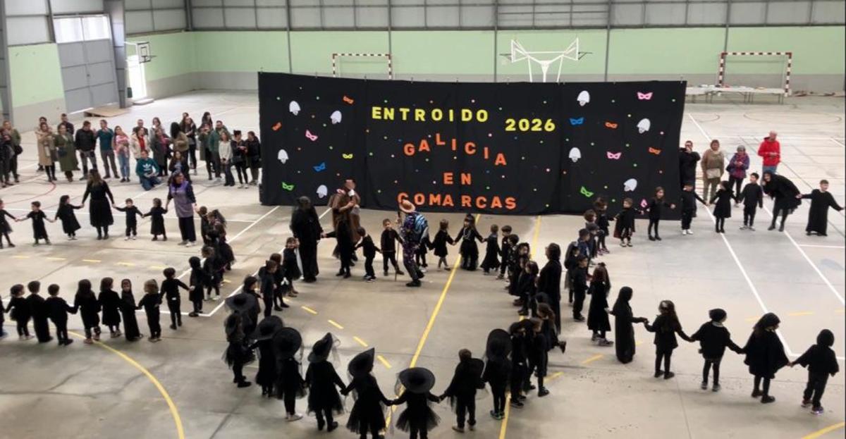 El CEIP Castrillón recorrió, el viernes, los carnavales de toda Galicia. | FDV