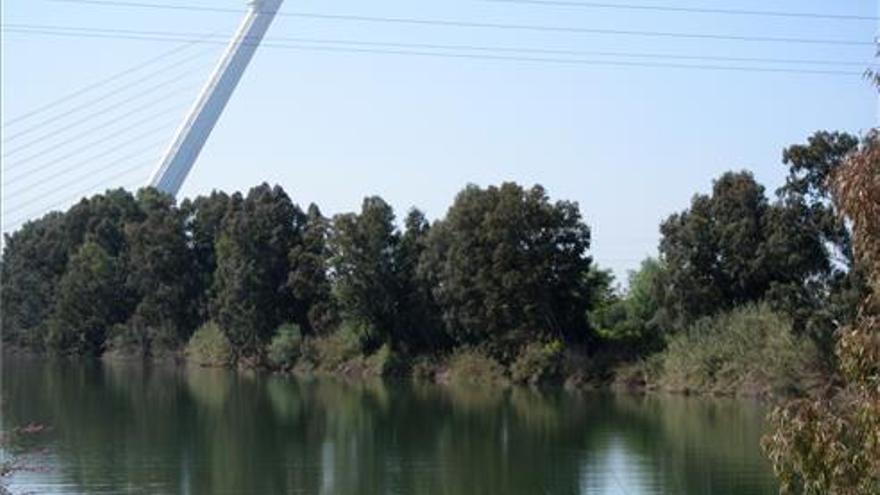 Aparece un cadáver en el Guadalquivir a su paso por Sevilla