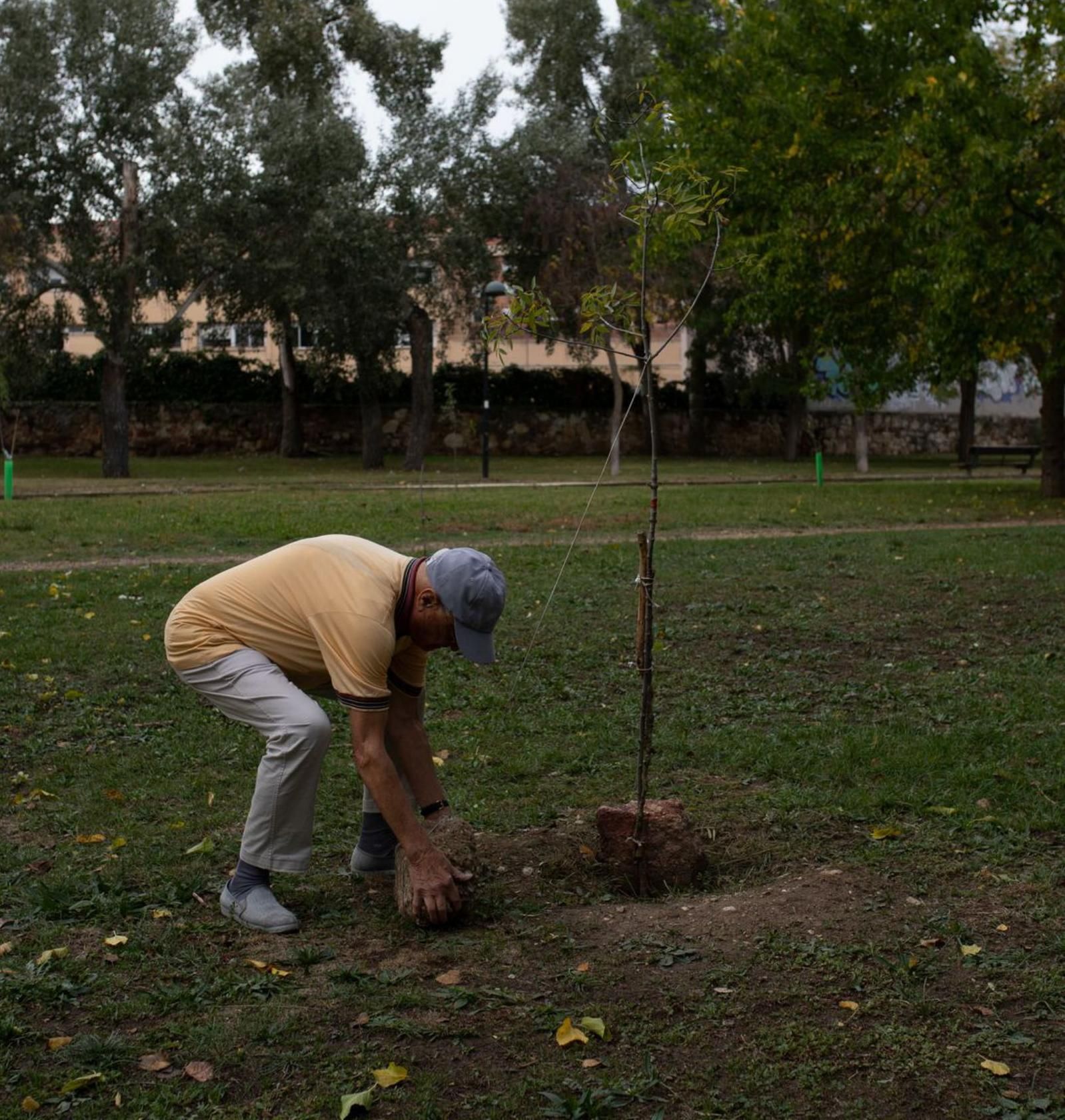 Willy sujeta uno de los árboles recién plantado para que crezca recto.