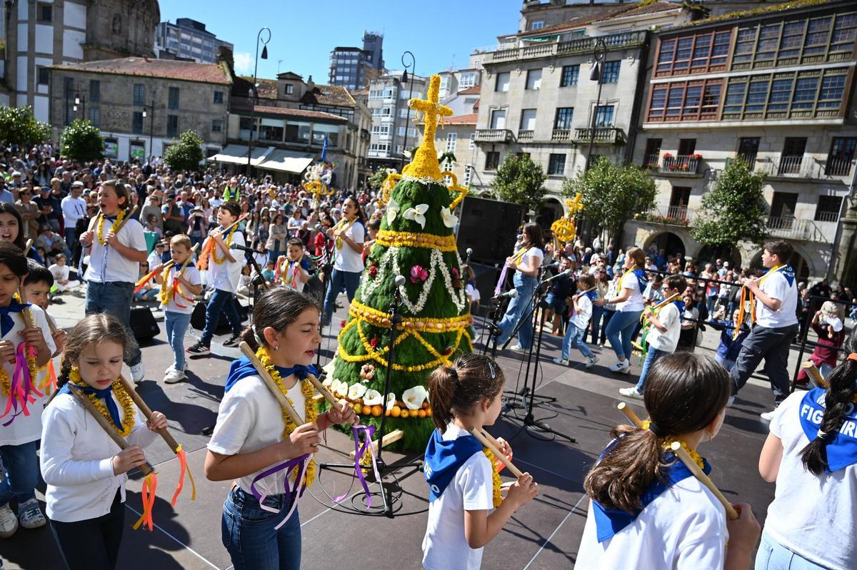 Los grupos volvieron a cumplir escrupulosamente con la tradición del maio pontevedrés, que establece medidas, materiales y estética de las estructuras vegetales.