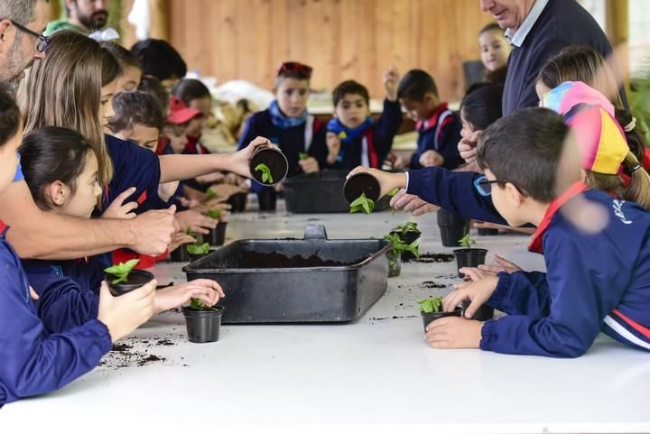 Visita escolar a la Granja Agricola del Cabildo