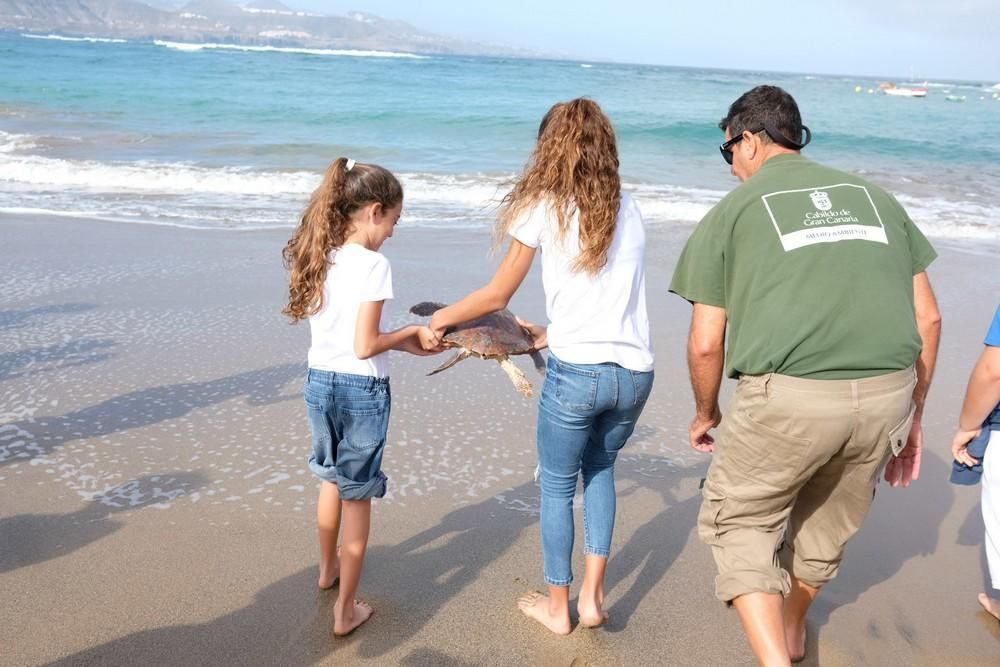 Suelta de una tortuga boba en Las Canteras