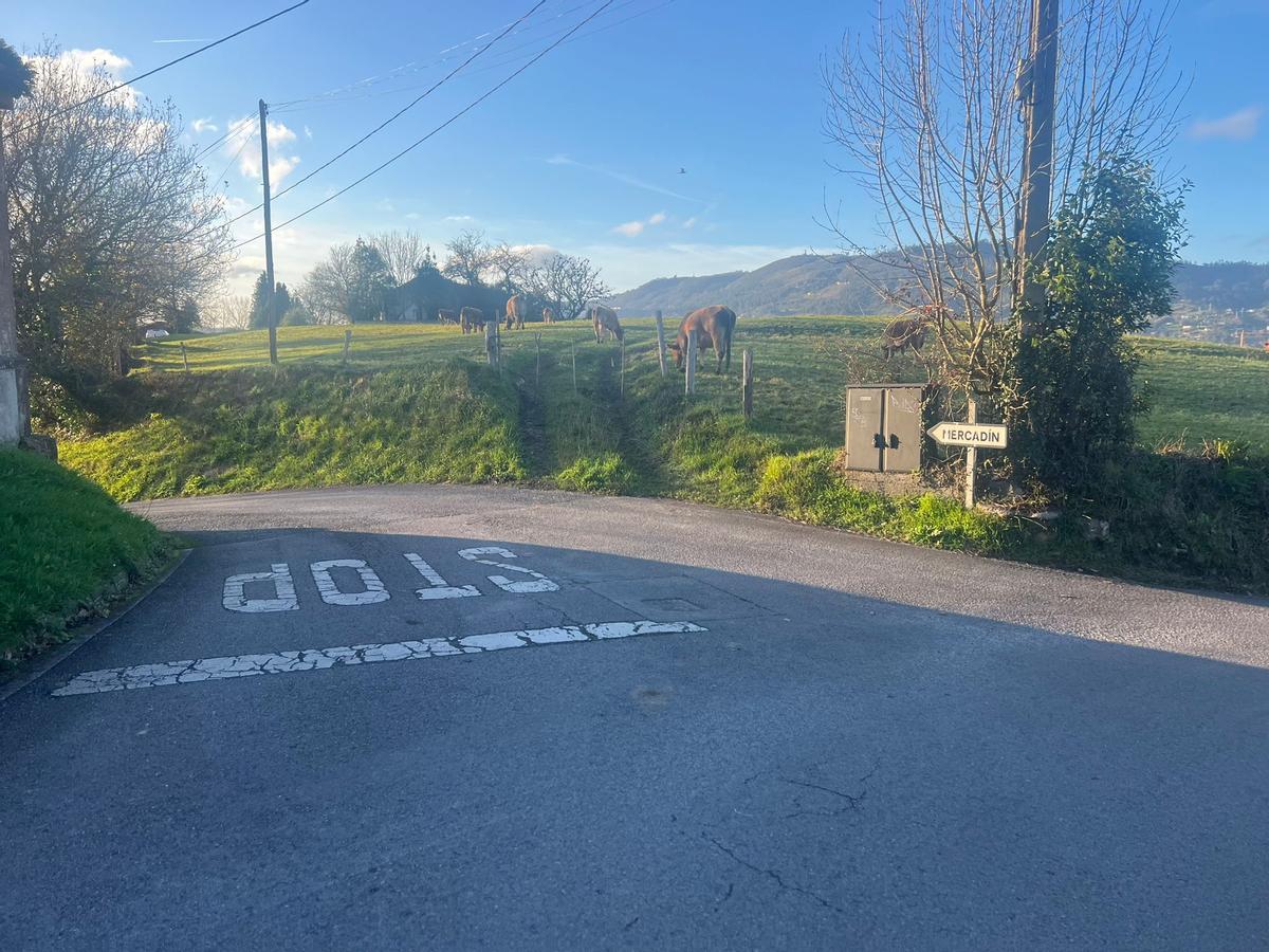 El acceso a la vía que provoca quejas entre la vecindad.