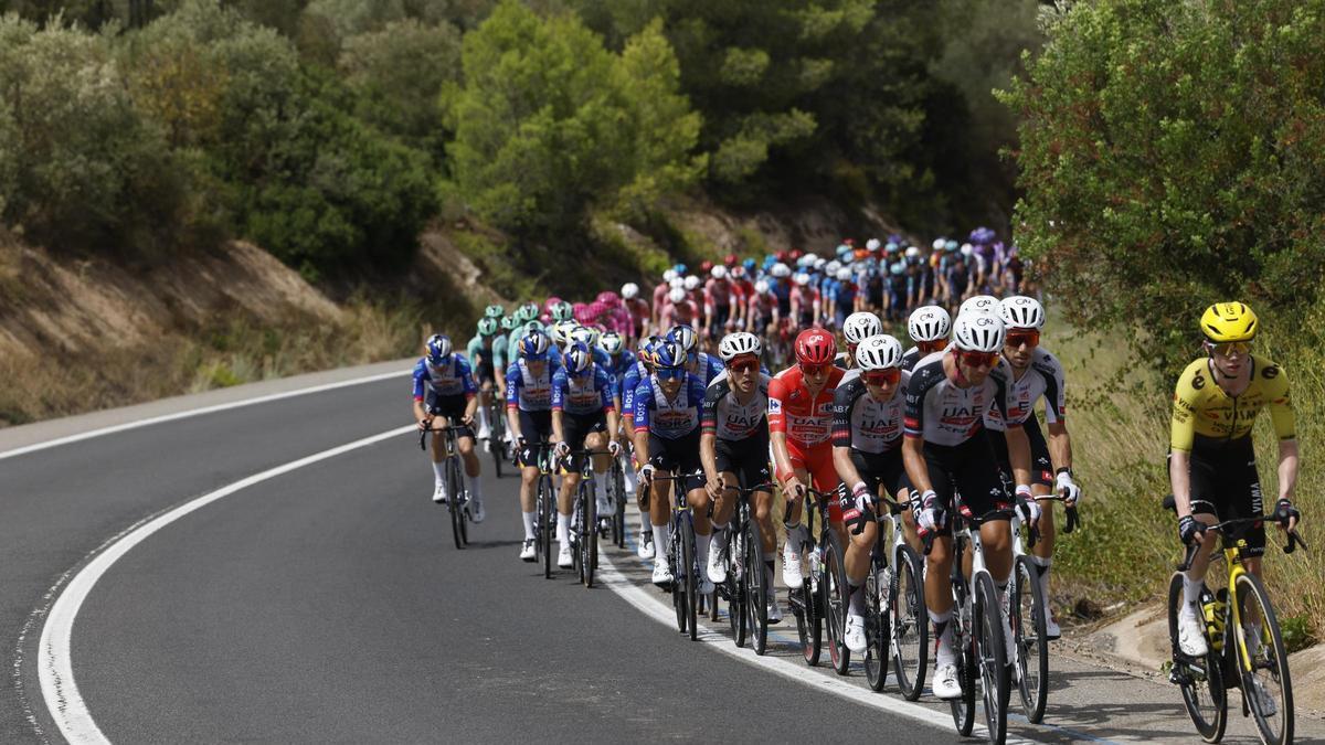 El pelotón, durante la etapa de ayer de la Vuelta.