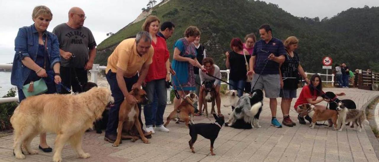 A los perros también les gusta la playa